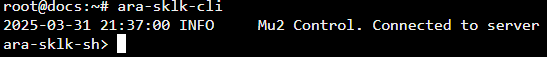 ../../_images/Launch_CLI.png