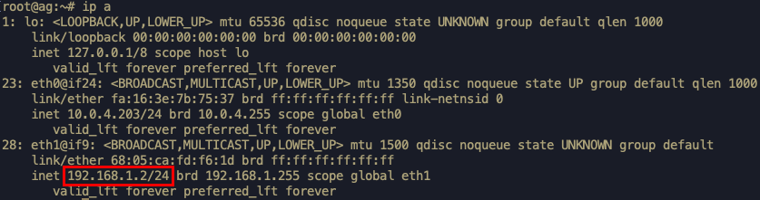 ../../_images/Optical_IP_Addr.png