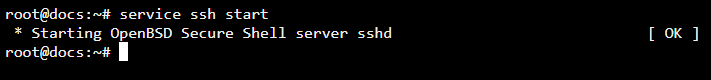 ../../_images/Start_SSH.png