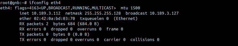 ../../_images/eth4_ifconfig.png