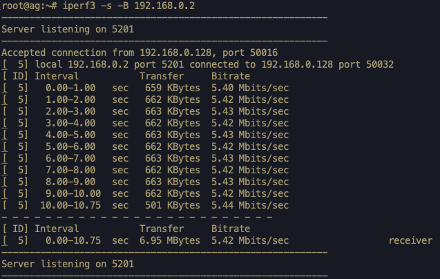 ../../_images/iperf_Server_Output.png