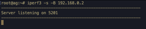 ../../_images/iperf_Server_Start.png