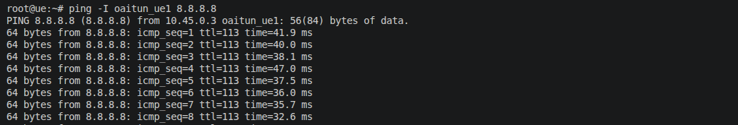 ../../_images/ping_oai_ue.png